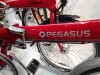 Pegasus_Dahon_Verschluss.JPG (149.71 KiB) 8060 mal betrachtet Pegasus_Verschluss