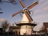 Windmolen de Haas (2. Kontrollstelle)
