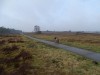 DSC06915a.jpg (49.12 KiB) 6484 mal betrachtet die Veluwe