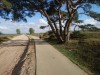 die Veluwe: ein Radweg und eine Sandfahrspur für Panzer