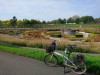 DSC_0927a.jpg (78.83 KiB) 13298 mal betrachtet Berne Park in Bottrop
