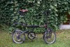 DSC02323klein.JPG